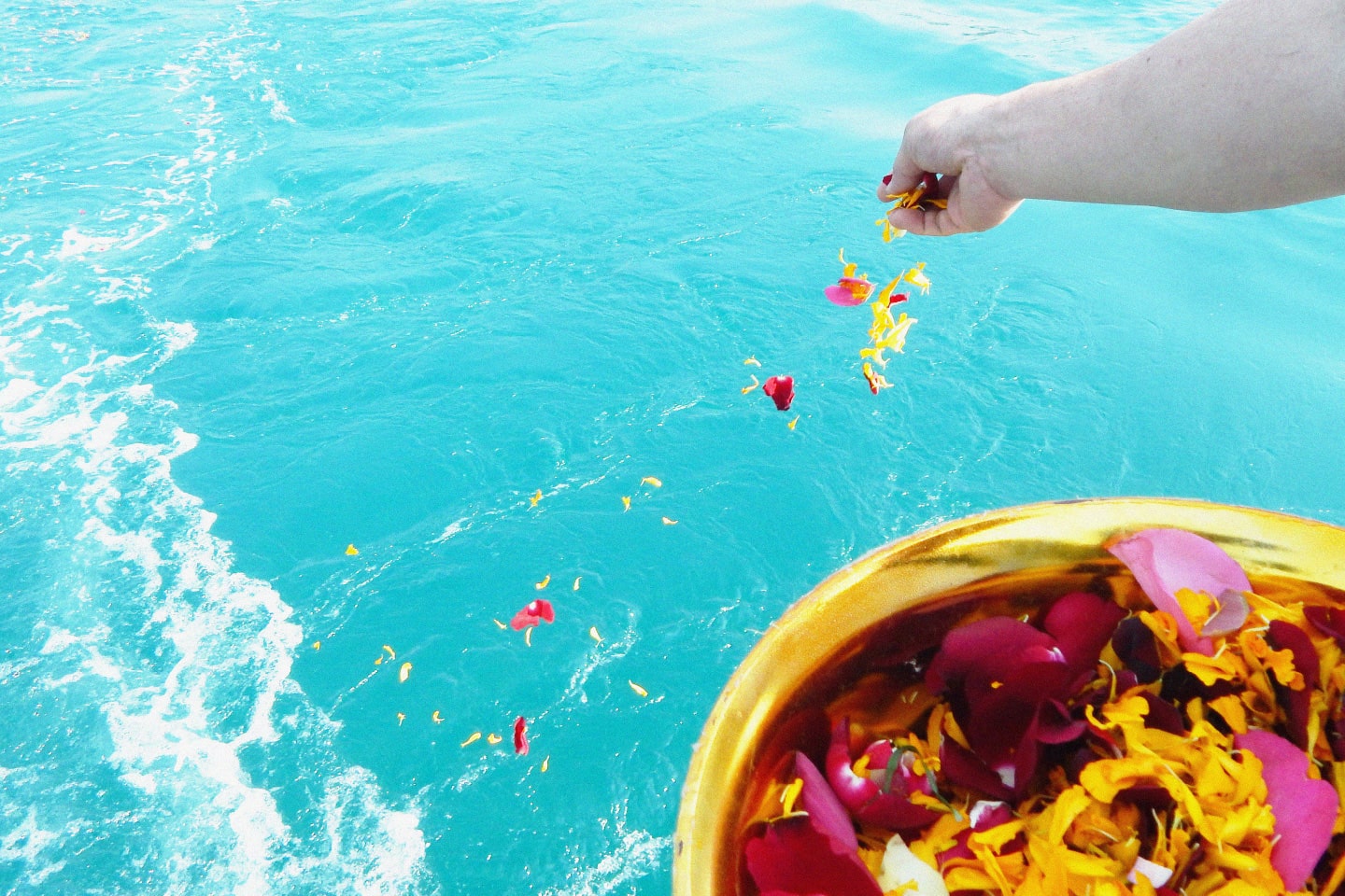 画像:海に花をまくイメージ|海洋散骨